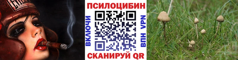 это Telegram Мещовск Галлюциногенные грибы Psilocybe купить наркотик